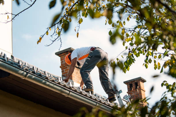 Best Emergency Roof Repair  in Adrian, MI