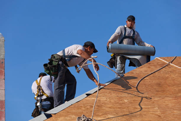 Best Heating Cable for Roof Installation  in Adrian, MI