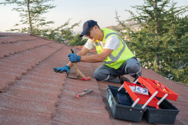 Best Sealant for Roof  in Adrian, MI